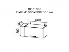 Шкаф верхний ДПГ500 горизонтальный в Алапаевске - alapaevsk.magazin-mebel74.ru | фото