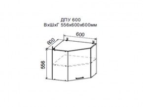Шкаф верхний ДПУ600 угловой в Алапаевске - alapaevsk.magazin-mebel74.ru | фото